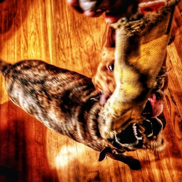 Tug And Go repurposed firehose original Tug - Picture 14 of 15